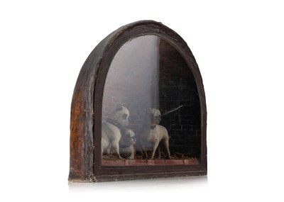 Lot 477 - Taxidermy - A Victorian 'Chinese Muff Dog' Diorama