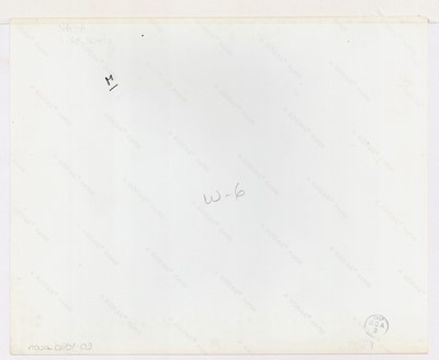 Lot 306 - JAMES McDIVITT (Astronaut 1929-), Photograph of the First American Space Walk