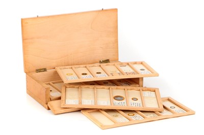 Lot 12 - A Collection of 28 Microscope Slides