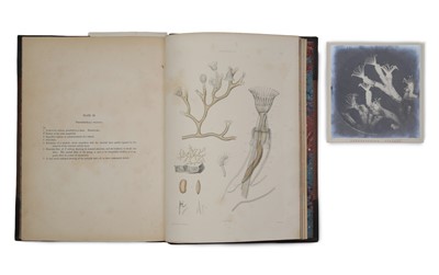 Lot 3 - Allman, George James, Folio Edition of Fresh Water Polyzoa, 1886