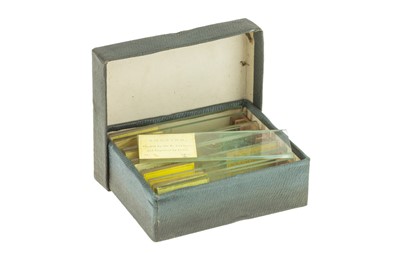 Lot 197 - A Set of 12 Microscope Micrphotographs, J. B. Dancer