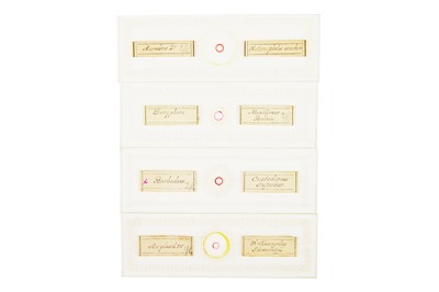 Lot 196 - A Collection of 4 Slides By Frederick Marshall