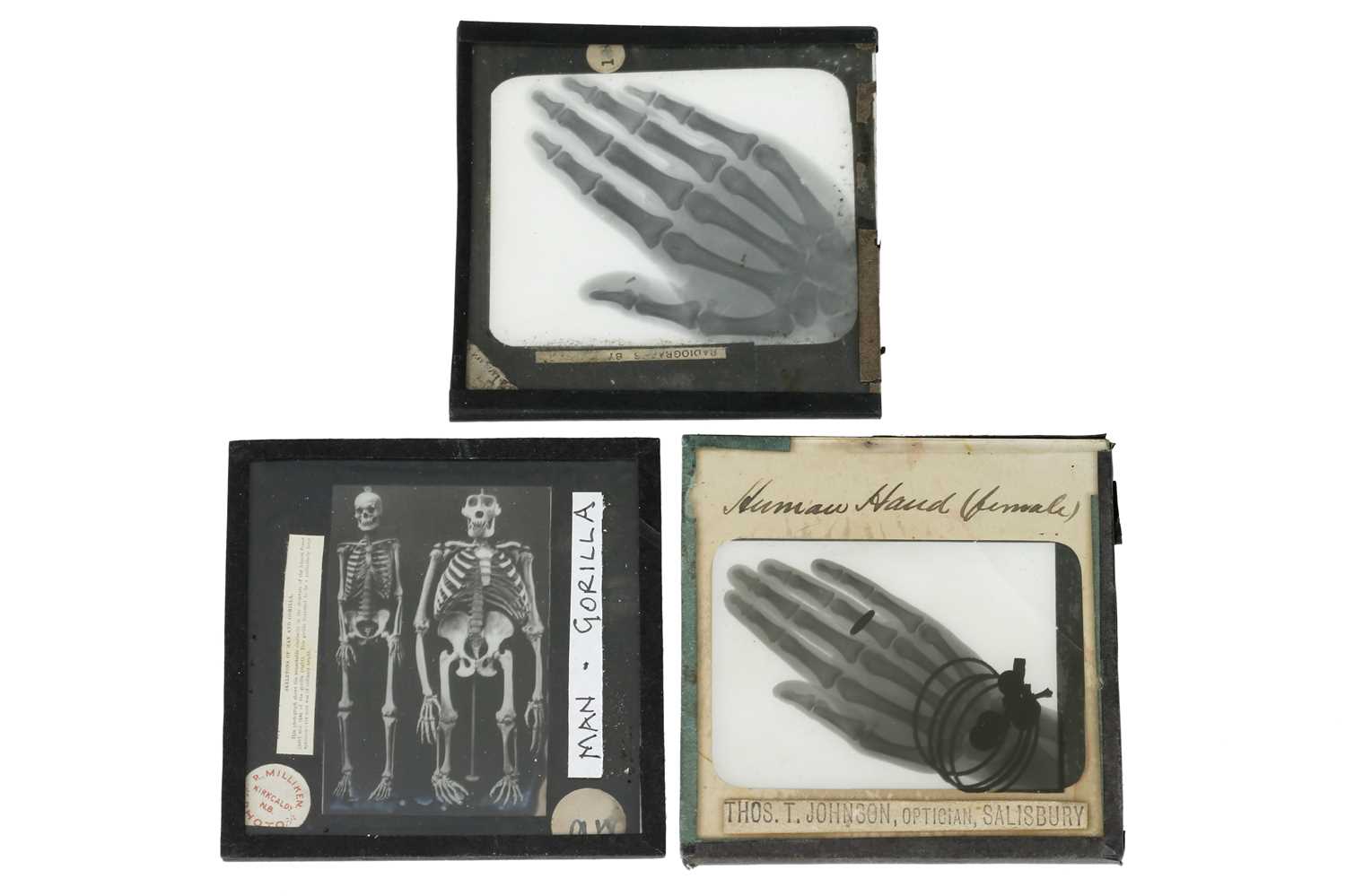 Lot 29 - X-Rays, Two Early Magic Lantern Slides