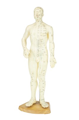 Lot 40 - A Large Acupuncture  Model