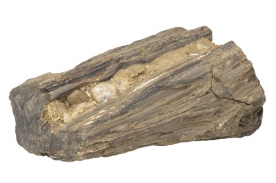 Lot 177 - A Large Sample of Fossil Wood