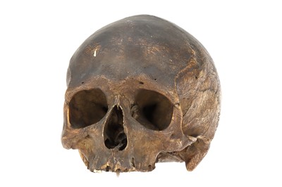 Lot 22 - An Ancient Human Skull