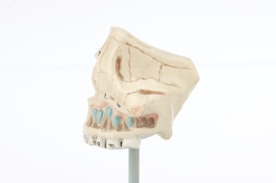 Lot 18 - Parts of a Schematic Model Eye