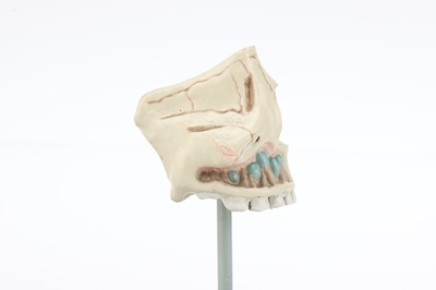 Lot 18 - Parts of a Schematic Model Eye