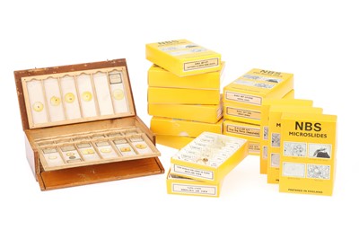 Lot 53 - A Selection of NBS Slides