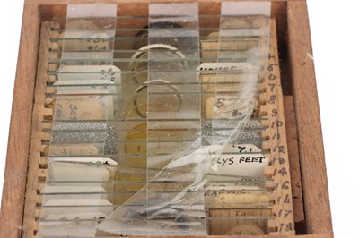Lot 42 - Collection of Microscope Accessories