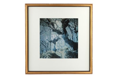 Lot 683 - PAMELA BONE (1925-2021), Five Creative Colour Landscapes
