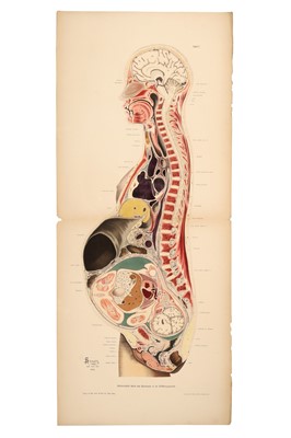 Lot 475 - Medicine - Schroeder, Karl Ludwig Ernst, 1886
