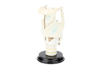 Lot 138 - MAISON AUZOUX (att) An Anatomical Model of the Human Larynx