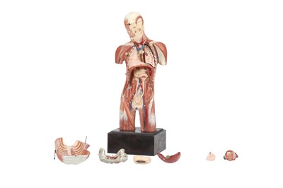 Lot 140 - MAISON AUZOUX, An Anatomical Model of the Human Torso