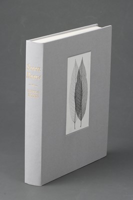 Lot 114 - PAMELA BONE, Seven Doors, Finding Freedom of Expression Through Photography