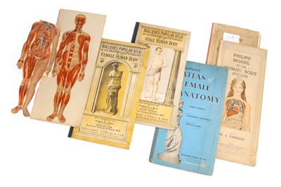 Lot 384 - Philips Model of the Human Body (Female)