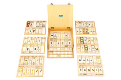 Lot 282 - A Collection of Fine Diatoms