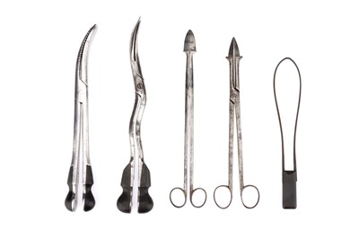 Lot 190 - 19th Century Destructive Obstetric Instruments