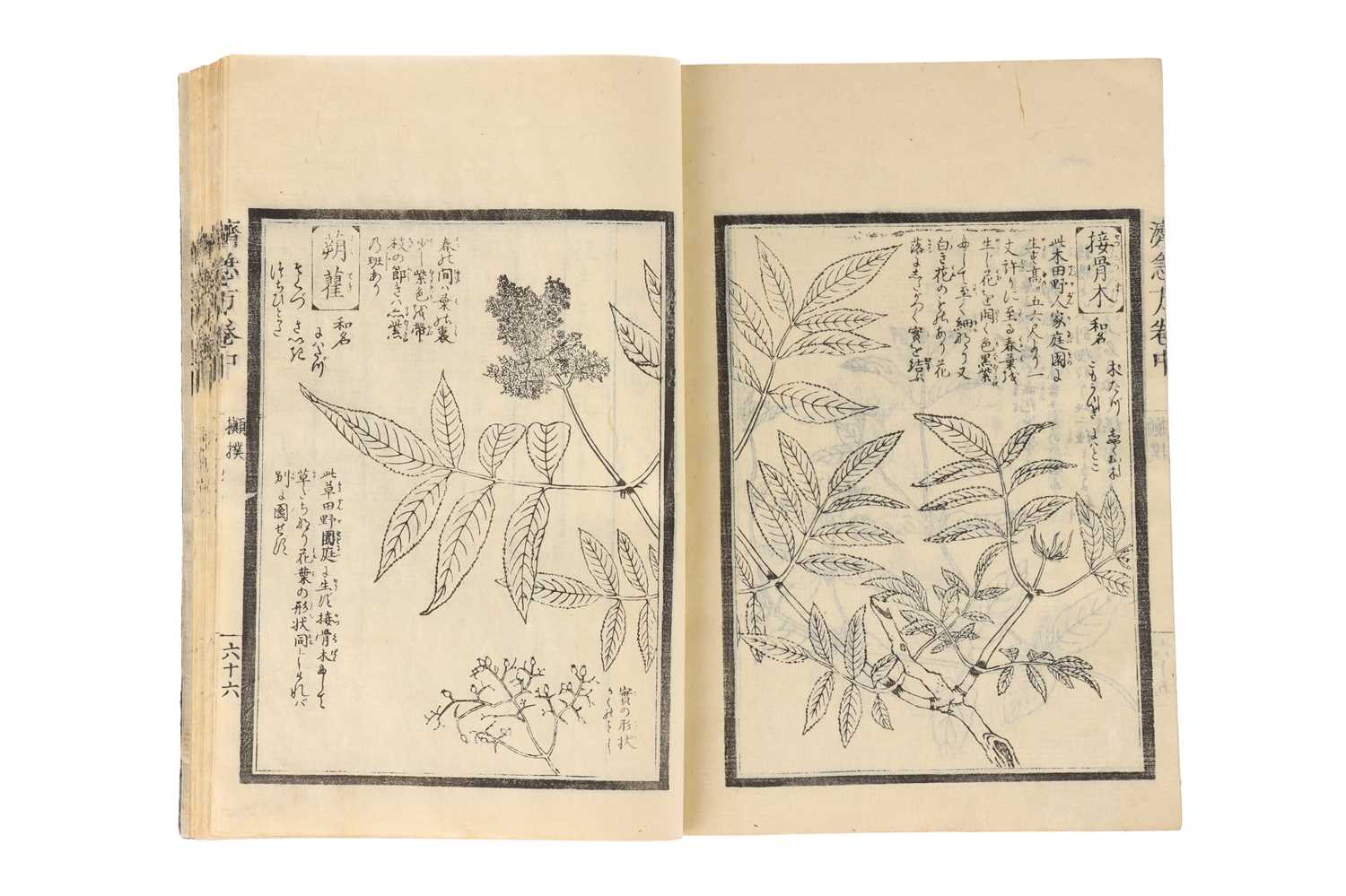 Lot 380 - Medicine – 19th Century Japanese Herbal Medicine Woodblock  Book