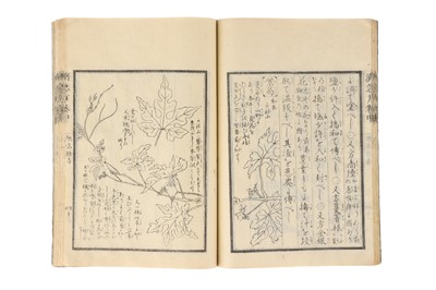 Lot 380 - Medicine – 19th Century Japanese Herbal Medicine Woodblock  Book