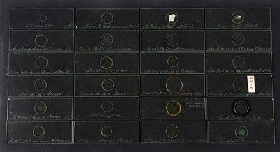 Lot 268 - Topping, C. M.,  Collection of 24 Early Microscope Slides