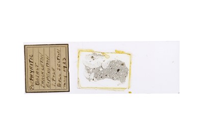 Lot 273 - Shackleton, Sir Ernest, Expedition Microscope Slide