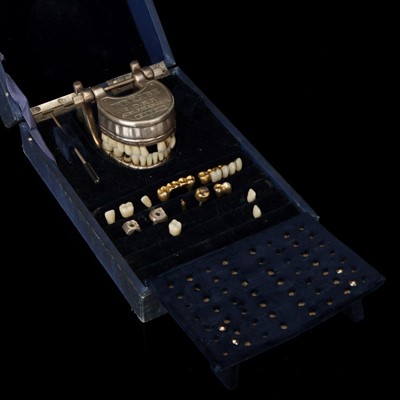 Lot 113 - A Dental Teaching Model by Wakabe