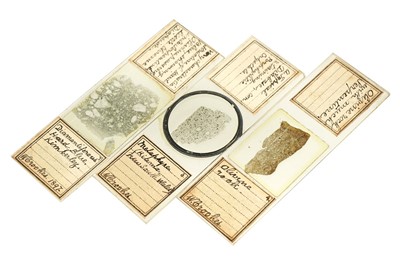 Lot 18 - A Set of Three Geological Slides by William Crookes