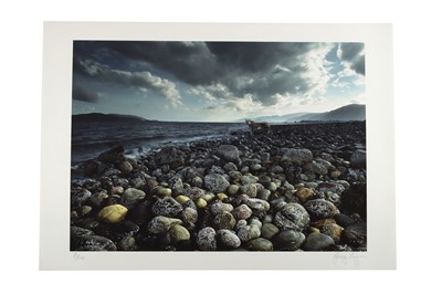 Lot 104 - GEORGE LOGAN, Photograph, Tiger