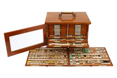 Lot 29 - A Large & Spectacular Collection of Microscope Slides
