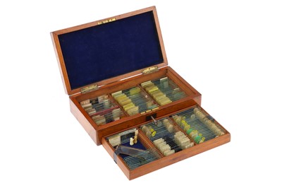 Lot 27 - A Good Collection of Microscope Microphotographs
