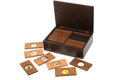 Lot 41 - A Collection of Microscope Projection Slides