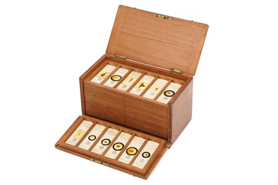 Lot 9 - A Very Fine Collection of 84 Insect Microscope Slides by DARLSTON