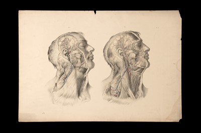 Lot 195 - Maclise, Joseph, Surgical Anatomy