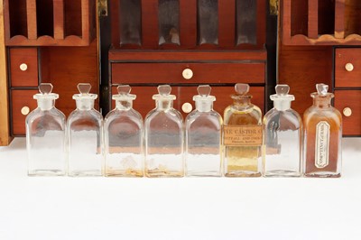 Lot 29 - Georgian Domestic Apothecary Chest