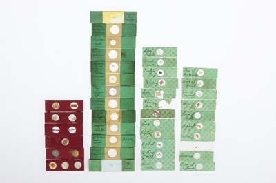 Lot 129 - Collection of Early Microscope Slides