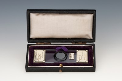 Lot 126 - Arranged Butterfly Scales Microscope Slide