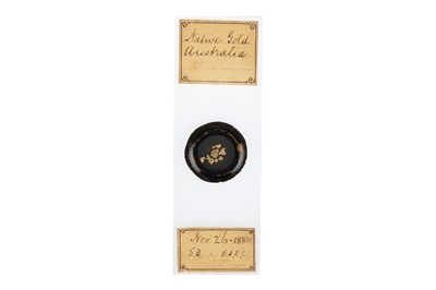 Lot 124 - Native Australian Gold Microscope Slide