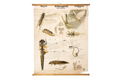 Lot 181 - Collection of 9 German Didactic Scientific Posters