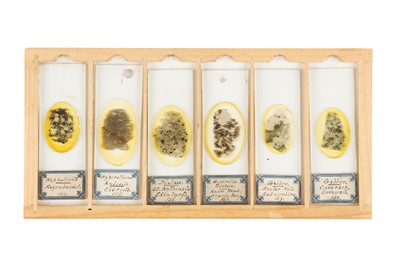 Lot 119 - A Small Cabinet of Geological Microscope Slides