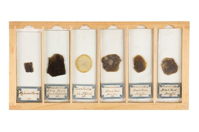 Lot 119 - A Small Cabinet of Geological Microscope Slides