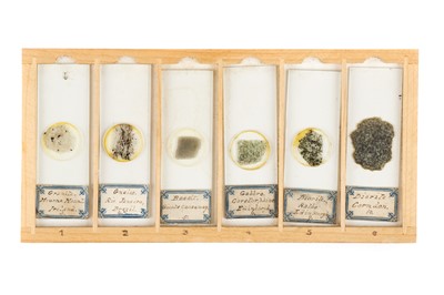 Lot 119 - A Small Cabinet of Geological Microscope Slides