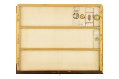 Lot 152 - Large Cabinet of Microscope Slides