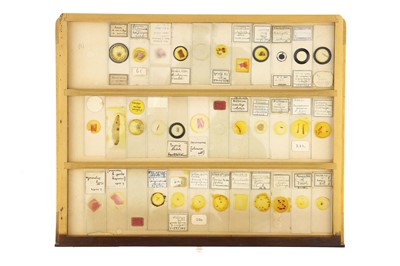 Lot 152 - Large Cabinet of Microscope Slides