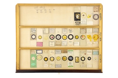 Lot 152 - Large Cabinet of Microscope Slides