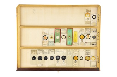 Lot 152 - Large Cabinet of Microscope Slides