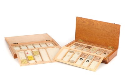 Lot 46 - A Collection of Microscope Microphotograph Slides