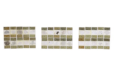 Lot 533 - Mineralogy, Dr. F Krantz Microscope Slides