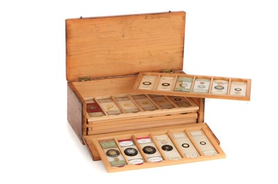 Lot 53 - A Fine Collection of Diatoms & Forminifera Including Some Exhibition Slides