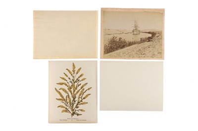 Lot 16 - Egypt and Holy Land. Bonfils, Sebah, Zangaki, Arnoux